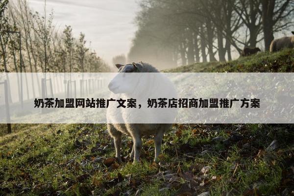 奶茶加盟网站推广文案，奶茶店招商加盟推广方案