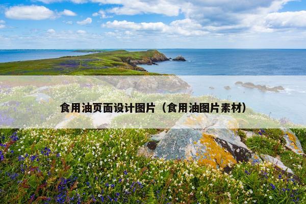 食用油页面设计图片（食用油图片素材）