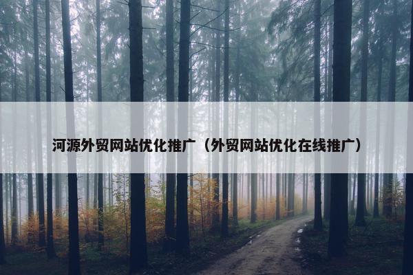 河源外贸网站优化推广（外贸网站优化在线推广）