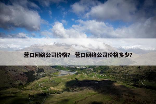 营口网络公司价格？ 营口网络公司价格多少？