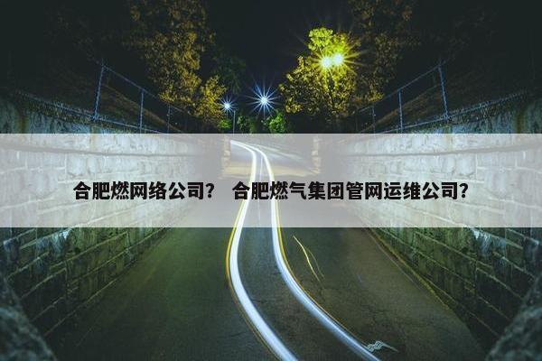 合肥燃网络公司？ 合肥燃气集团管网运维公司？