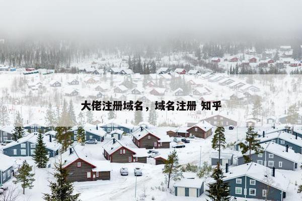 大佬注册域名，域名注册 知乎