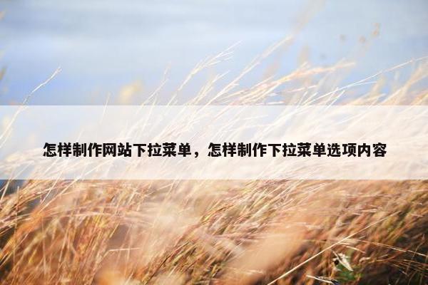 怎样制作网站下拉菜单，怎样制作下拉菜单选项内容