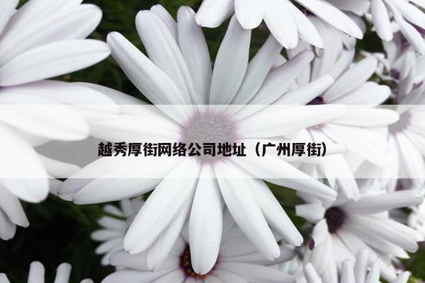 越秀厚街网络公司地址（广州厚街）