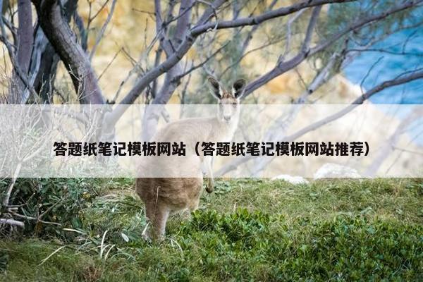 答题纸笔记模板网站（答题纸笔记模板网站推荐）