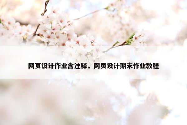 网页设计作业含注释，网页设计期末作业教程