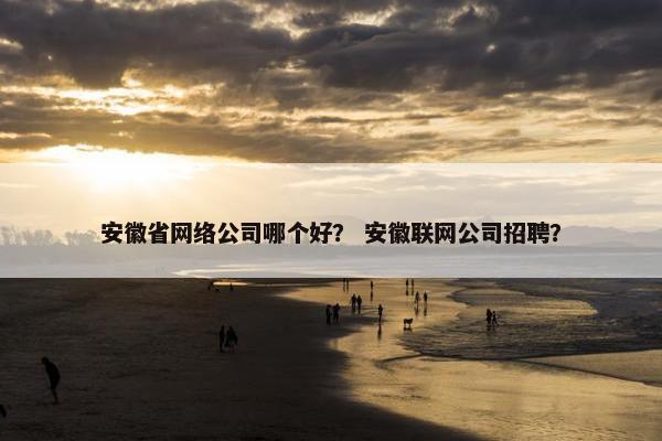 安徽省网络公司哪个好？ 安徽联网公司招聘？
