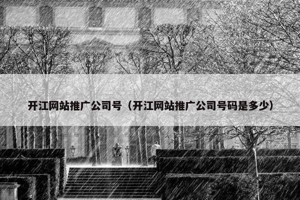 开江网站推广公司号（开江网站推广公司号码是多少）