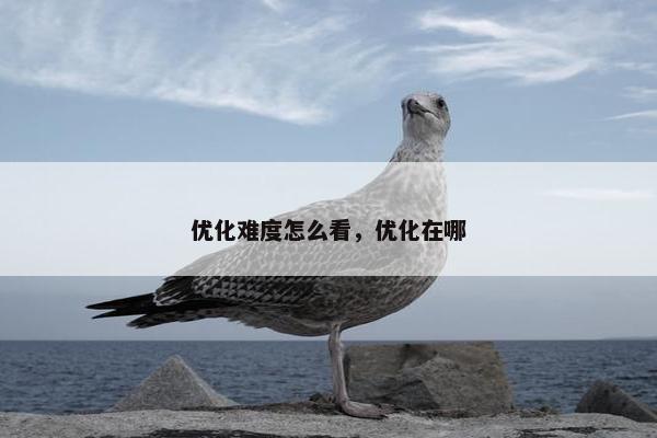 优化难度怎么看，优化在哪