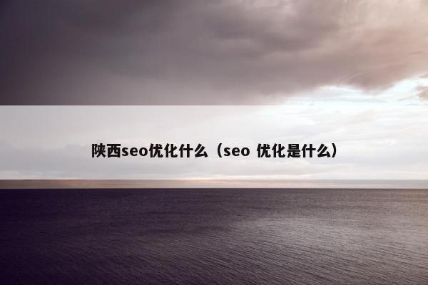 陕西seo优化什么（seo 优化是什么）