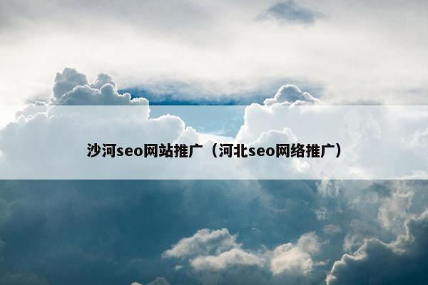 沙河seo网站推广（河北seo网络推广）