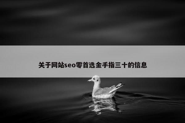 关于网站seo零首选金手指三十的信息