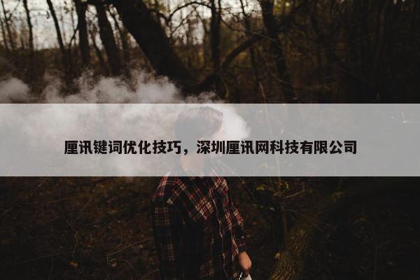 厘讯键词优化技巧，深圳厘讯网科技有限公司