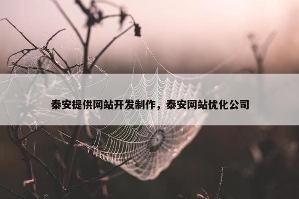 泰安提供网站开发制作，泰安网站优化公司