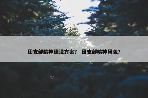 团支部精神建设方案？ 团支部精神风貌？