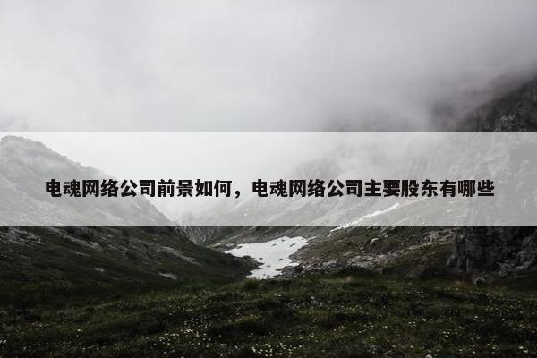 电魂网络公司前景如何，电魂网络公司主要股东有哪些