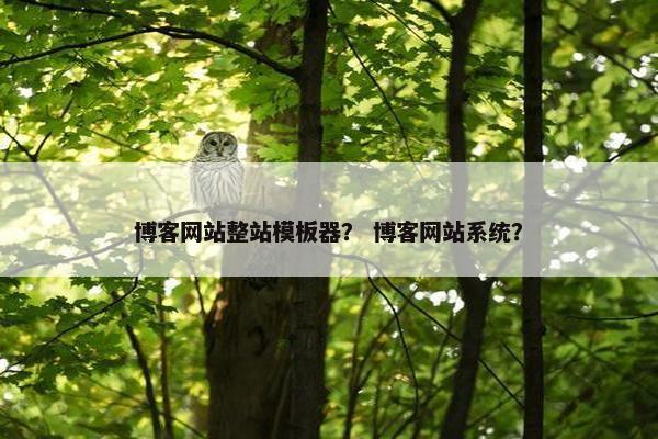 博客网站整站模板器？ 博客网站系统？