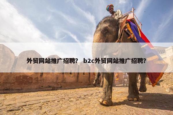 外贸网站推广招聘？ b2c外贸网站推广招聘？