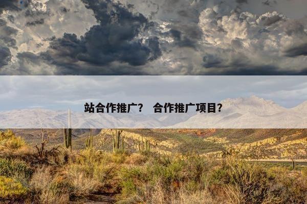 站合作推广？ 合作推广项目？
