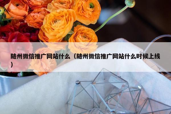 随州微信推广网站什么（随州微信推广网站什么时候上线）