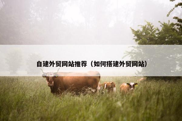 自建外贸网站推荐（如何搭建外贸网站）