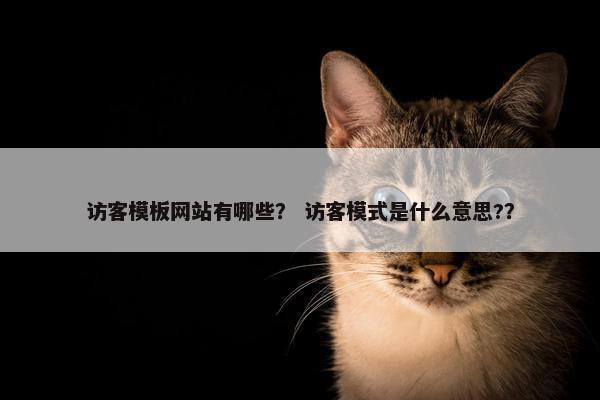 访客模板网站有哪些？ 访客模式是什么意思?？