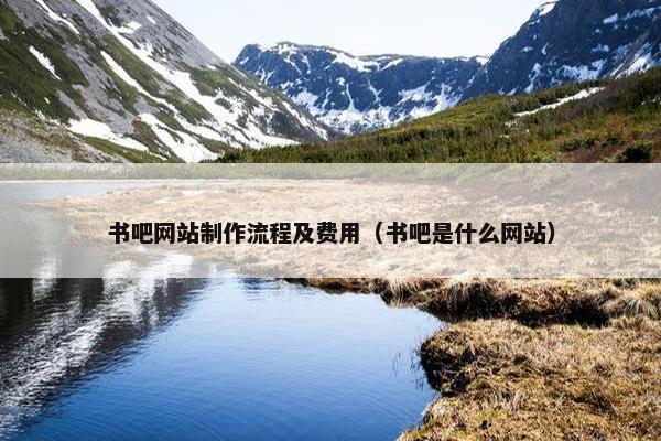 书吧网站制作流程及费用（书吧是什么网站）