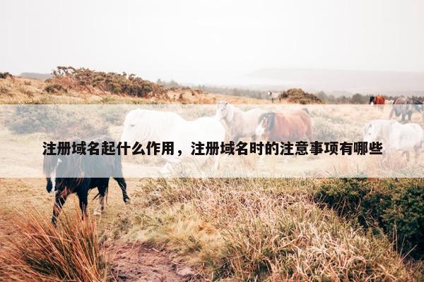 注册域名起什么作用，注册域名时的注意事项有哪些