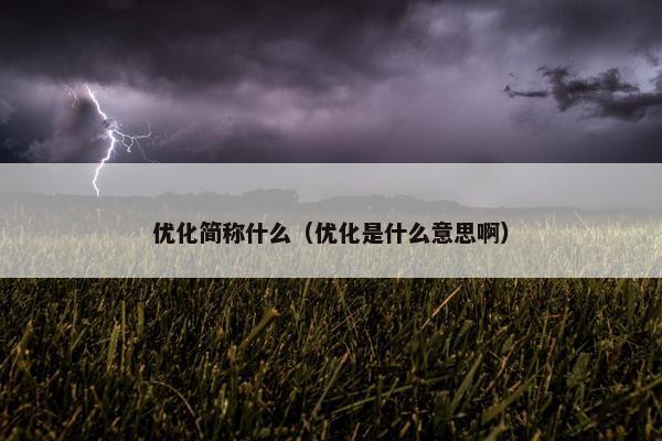 优化简称什么（优化是什么意思啊）
