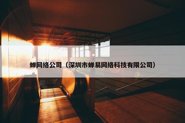 蝉网络公司（深圳市蝉易网络科技有限公司）