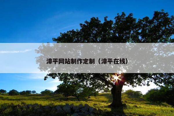 漳平网站制作定制（漳平在线）