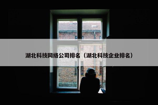 湖北科技网络公司排名（湖北科技企业排名）
