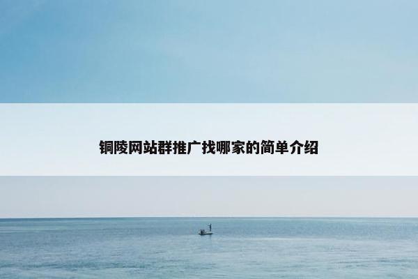铜陵网站群推广找哪家的简单介绍