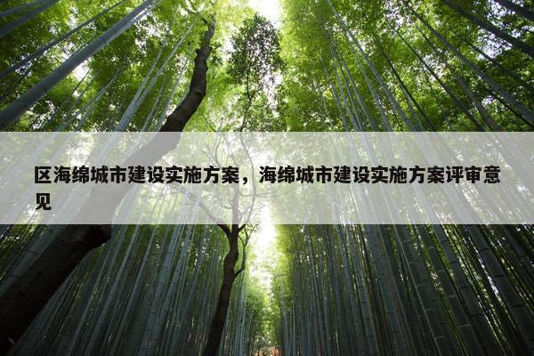 区海绵城市建设实施方案，海绵城市建设实施方案评审意见