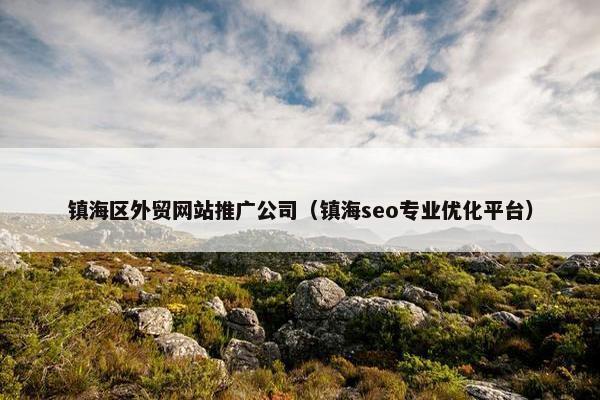 镇海区外贸网站推广公司（镇海seo专业优化平台）