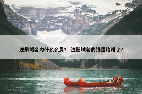 注册域名为什么么贵？ 注册域名的钱是给谁了？