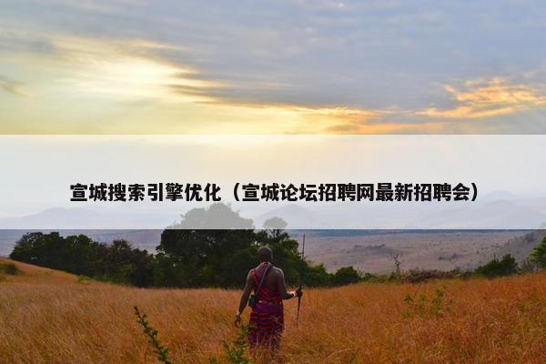 宣城搜索引擎优化（宣城论坛招聘网最新招聘会）