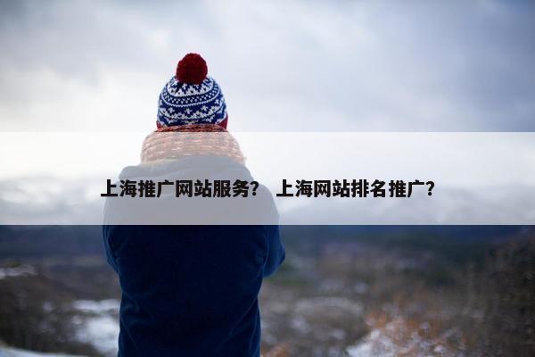 上海推广网站服务？ 上海网站排名推广？