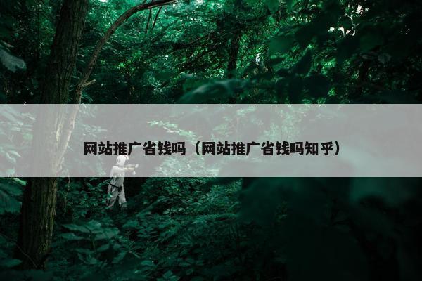 网站推广省钱吗（网站推广省钱吗知乎）
