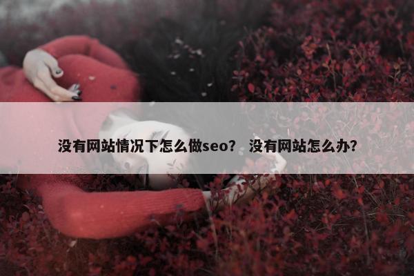 没有网站情况下怎么做seo？ 没有网站怎么办？