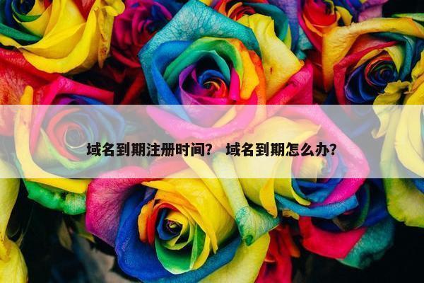 域名到期注册时间？ 域名到期怎么办？