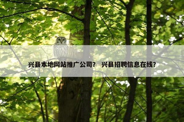 兴县本地网站推广公司？ 兴县招聘信息在线？