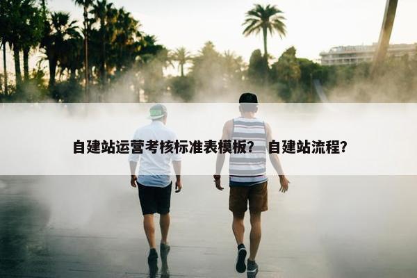 自建站运营考核标准表模板？ 自建站流程？