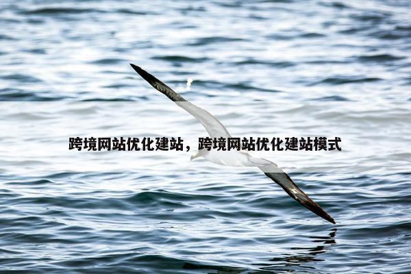 跨境网站优化建站，跨境网站优化建站模式