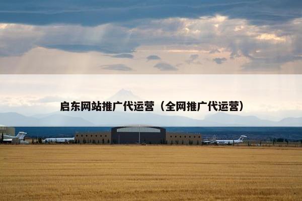 启东网站推广代运营（全网推广代运营）