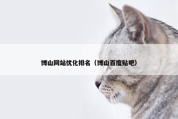 博山网站优化排名（博山百度贴吧）