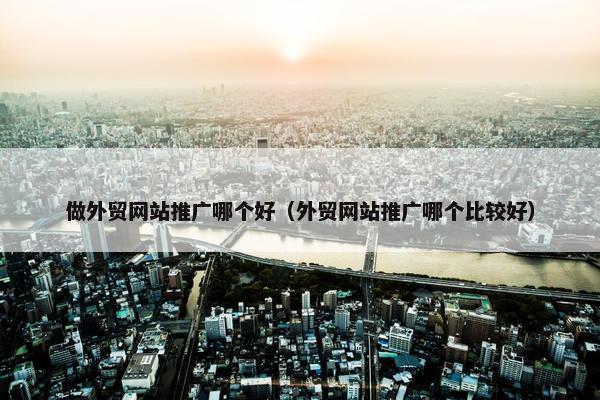 做外贸网站推广哪个好（外贸网站推广哪个比较好）