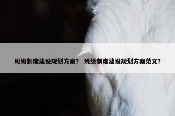 班级制度建设规划方案？ 班级制度建设规划方案范文？