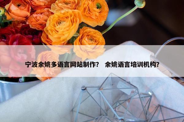 宁波余姚多语言网站制作？ 余姚语言培训机构？