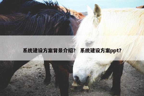 系统建设方案背景介绍？ 系统建设方案ppt？